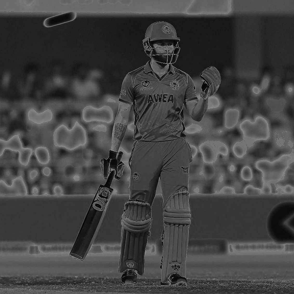 Blockchain and Cricket Fans' New Address: How Digital Stands Are Changing Supporter Culture Blockchain and Cricket Fans' New Address: How Digital Stands Are Changing Supporter Culture
