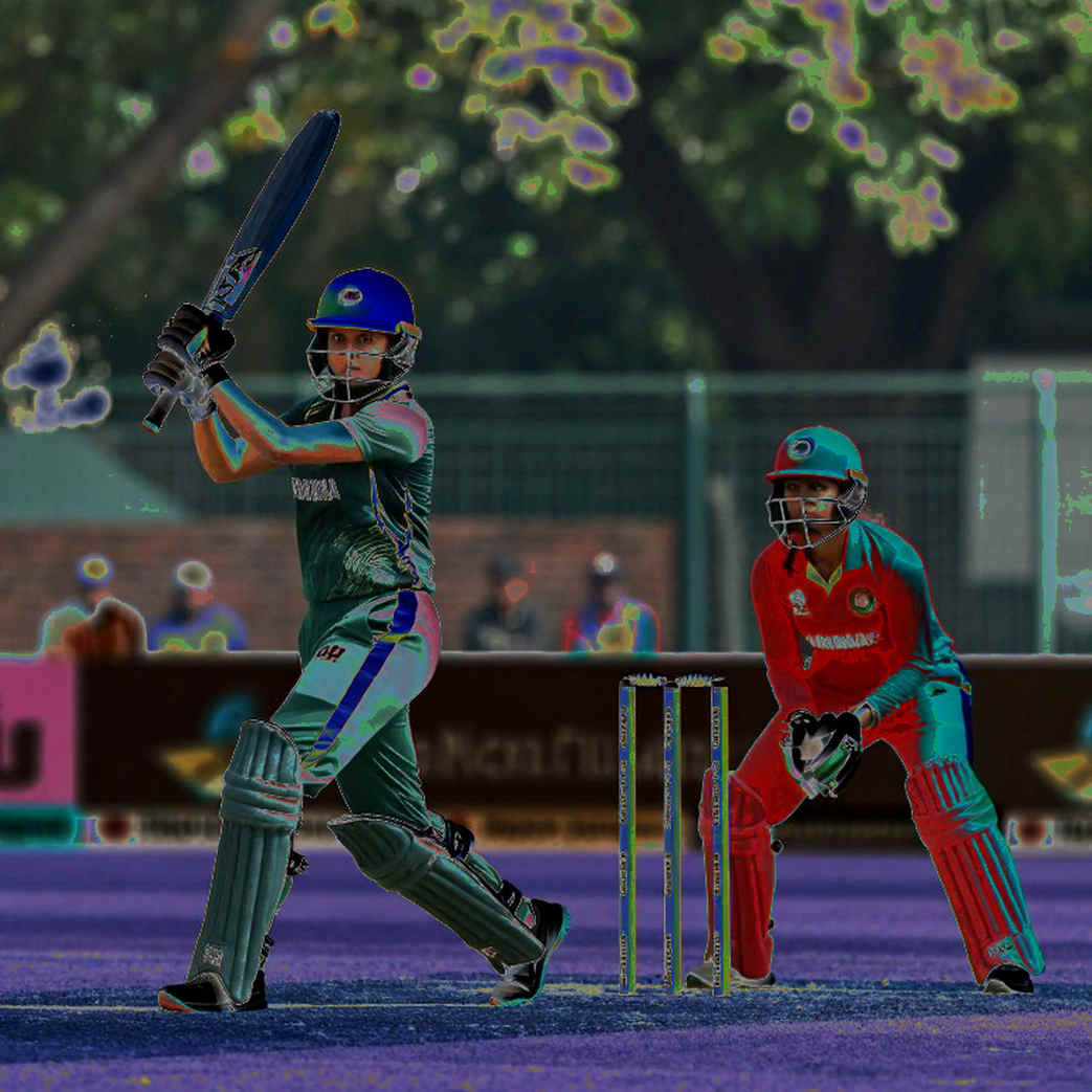 The Null Manuscript: The Discipline of Writing 'Insufficient Information' in Cricket Analysis The Null Manuscript: The Discipline of Writing 'Insufficient Information' in Cricket Analysis